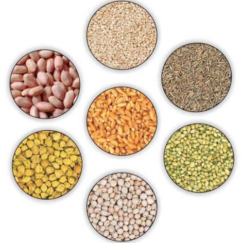 AGRI SEEDS